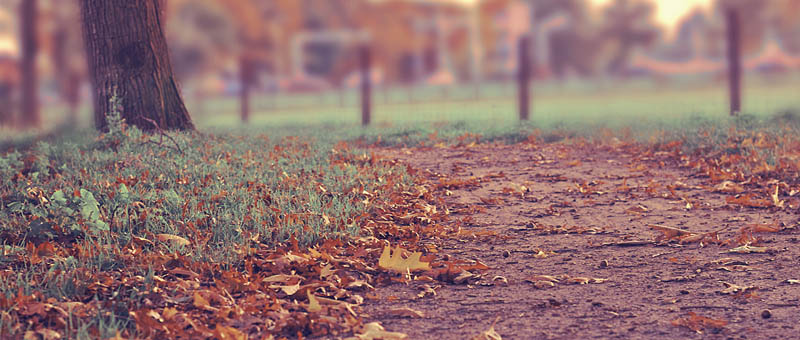 免费ddos攻击网页端